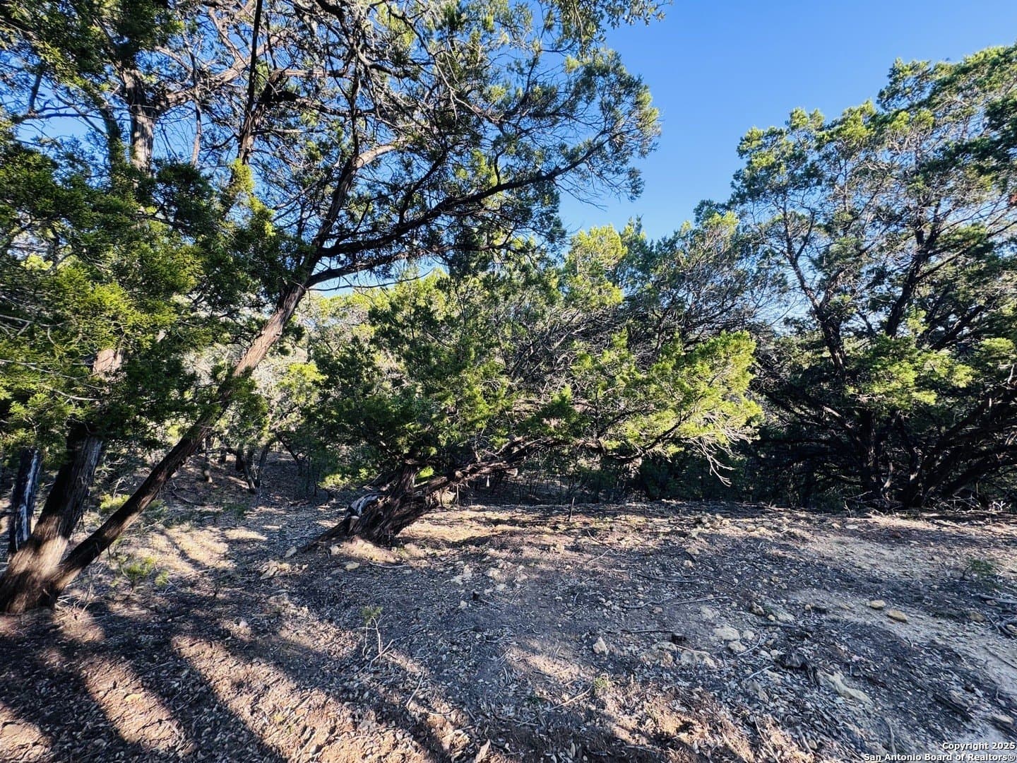 0.12 acres in Bandera County - photo 6