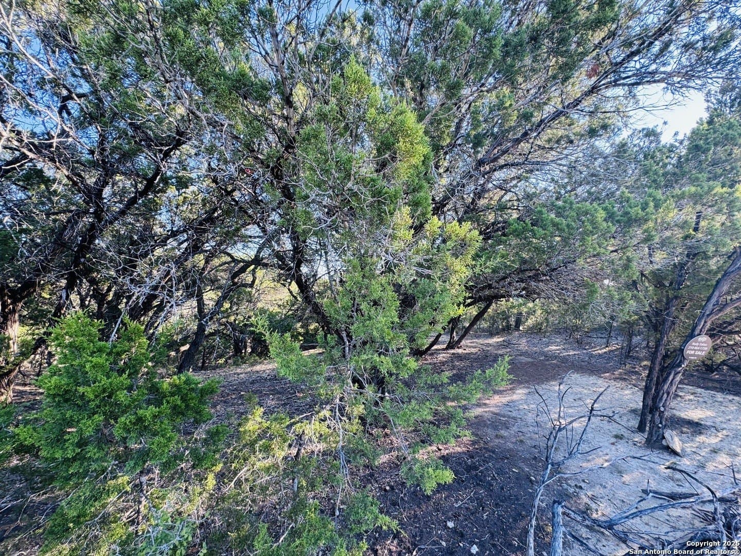 0.12 acres in Bandera County - photo 14