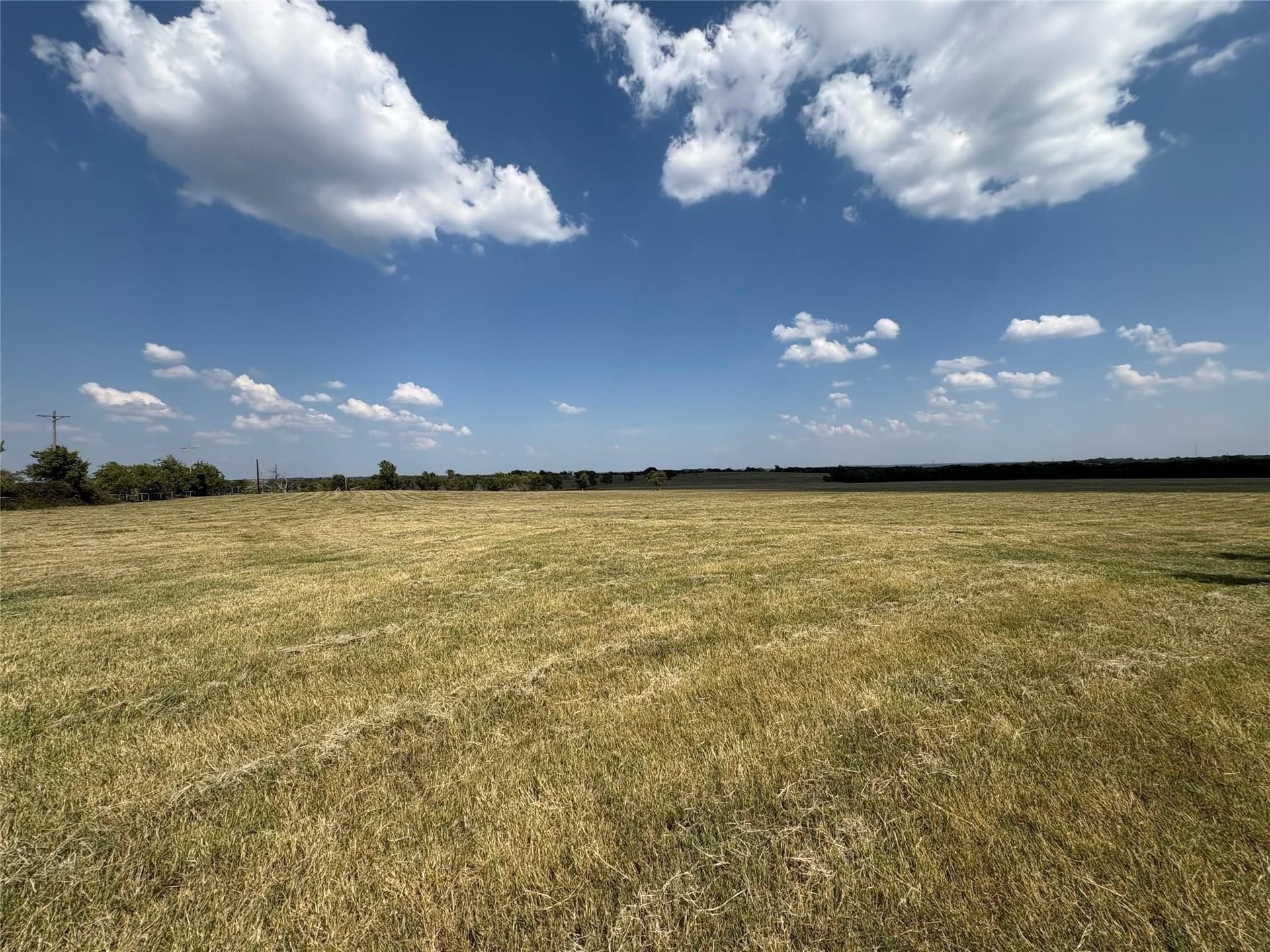 35.67 acres in Grayson County gallery image 3
