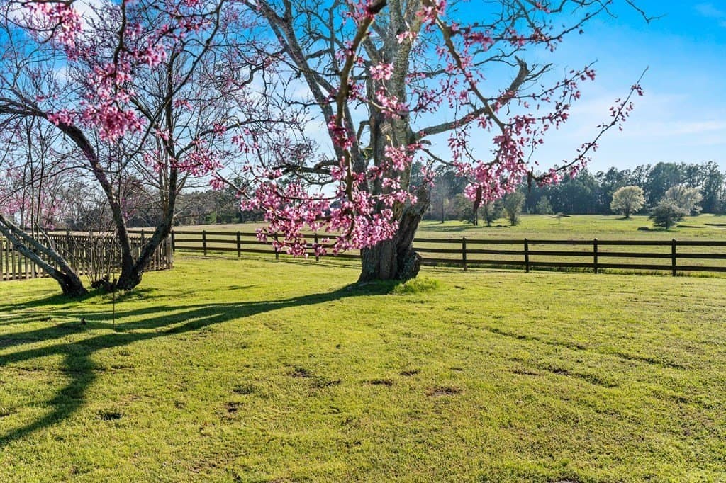 100 acres in Texas County - photo 30