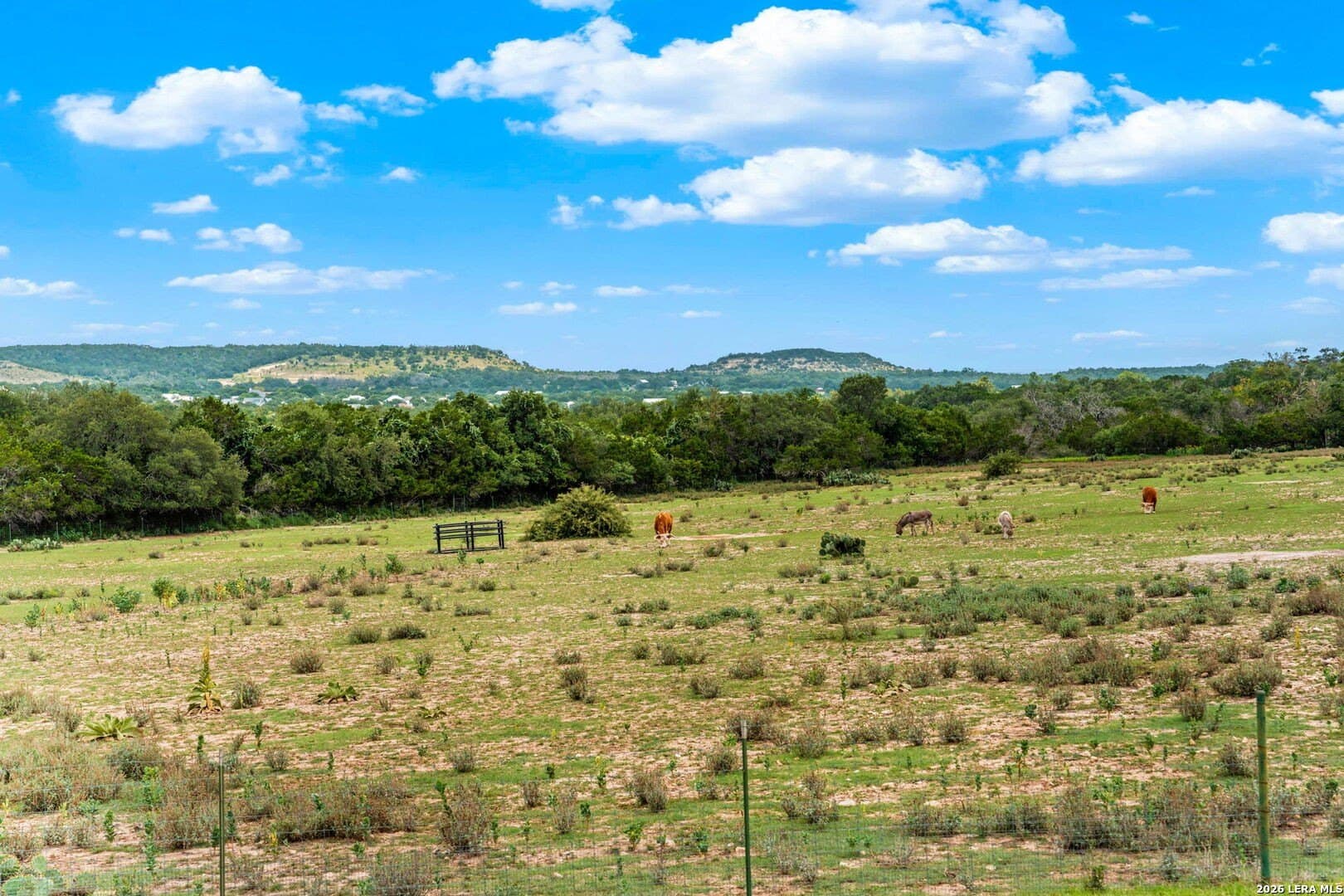 12.09 acres in Gillespie County - photo 50
