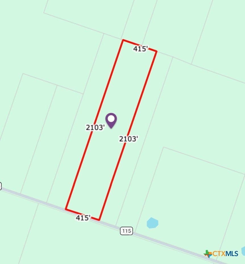 20 acres in Milam County gallery image 2