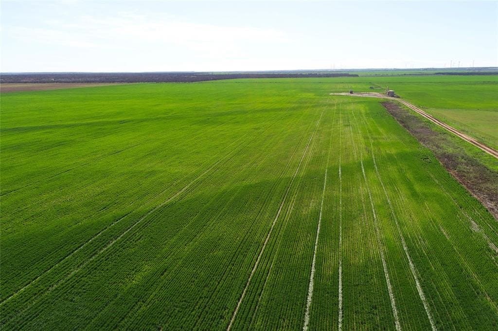 120 acres in Wilbarger County gallery image 4