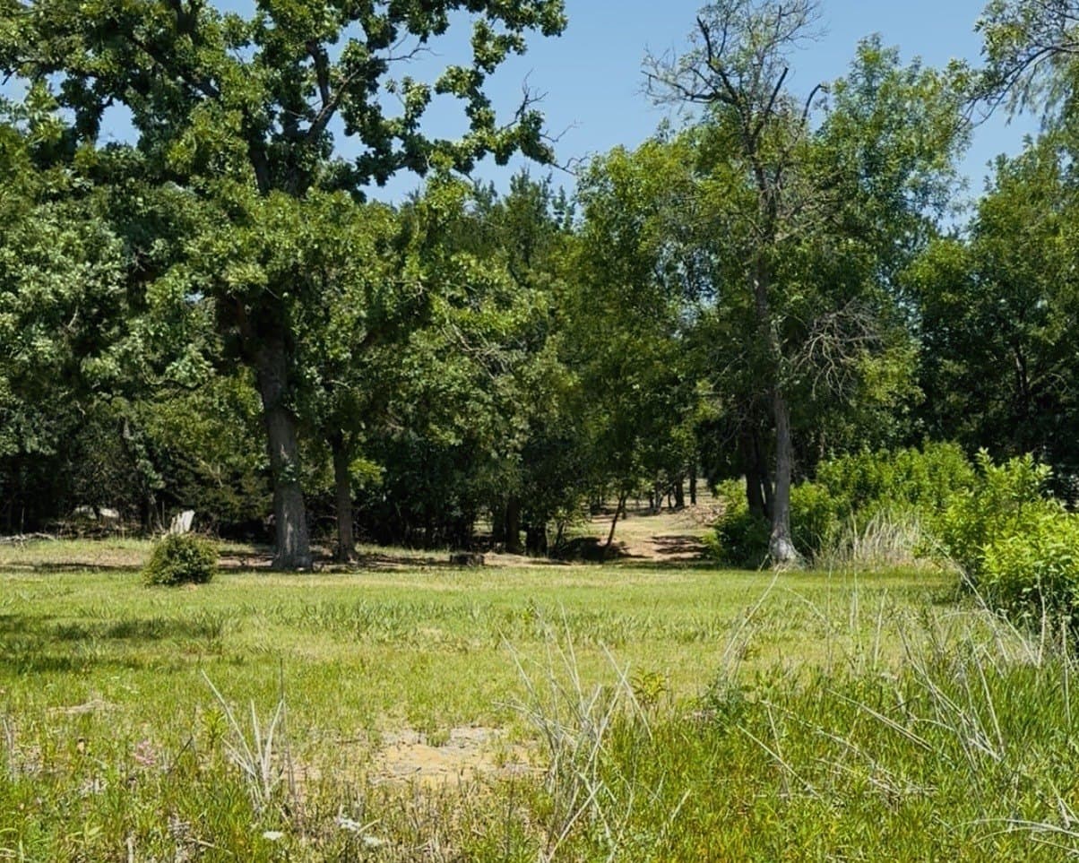 2.12 acres in Montague County gallery image 3