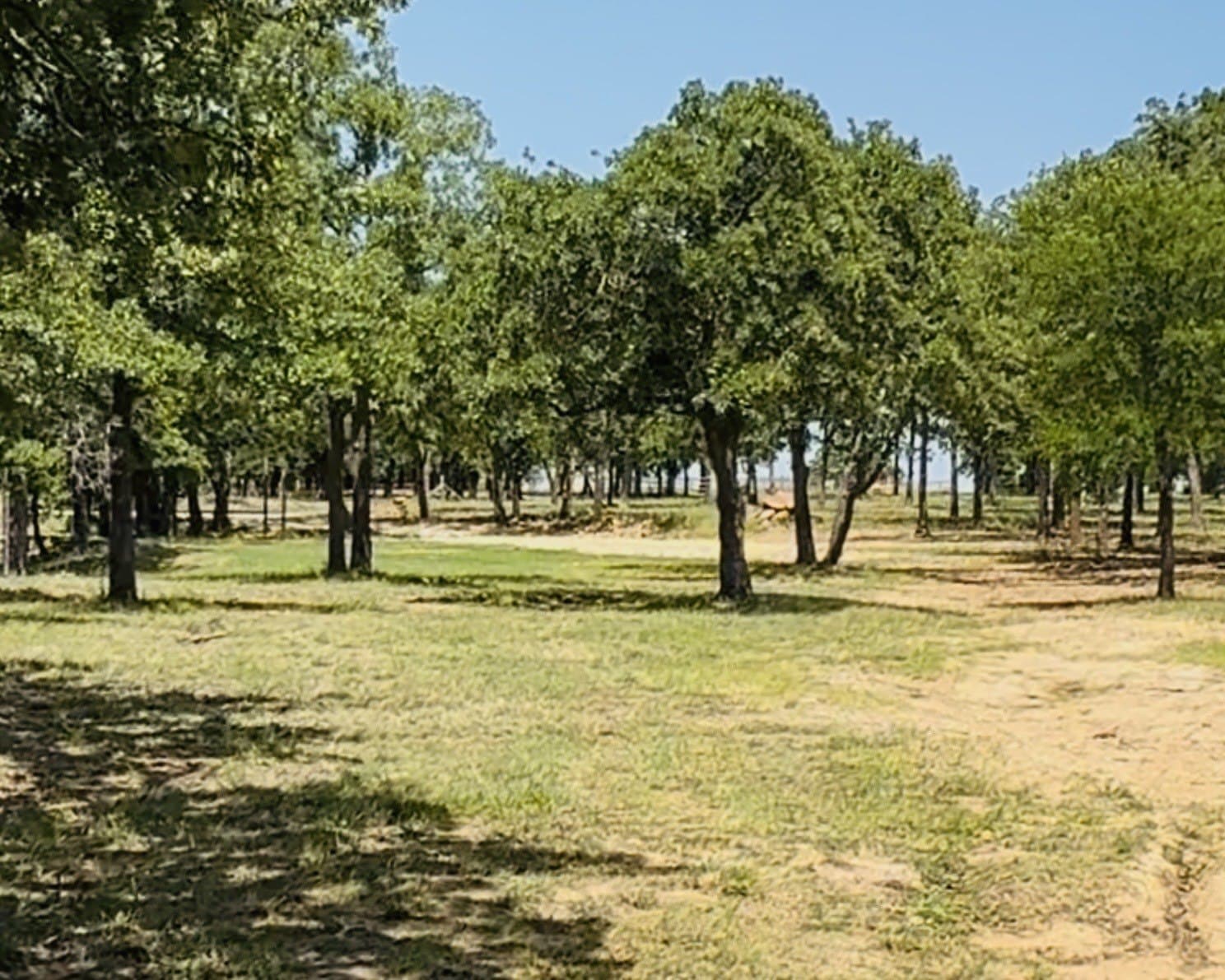 2.12 acres in Montague County gallery image 4