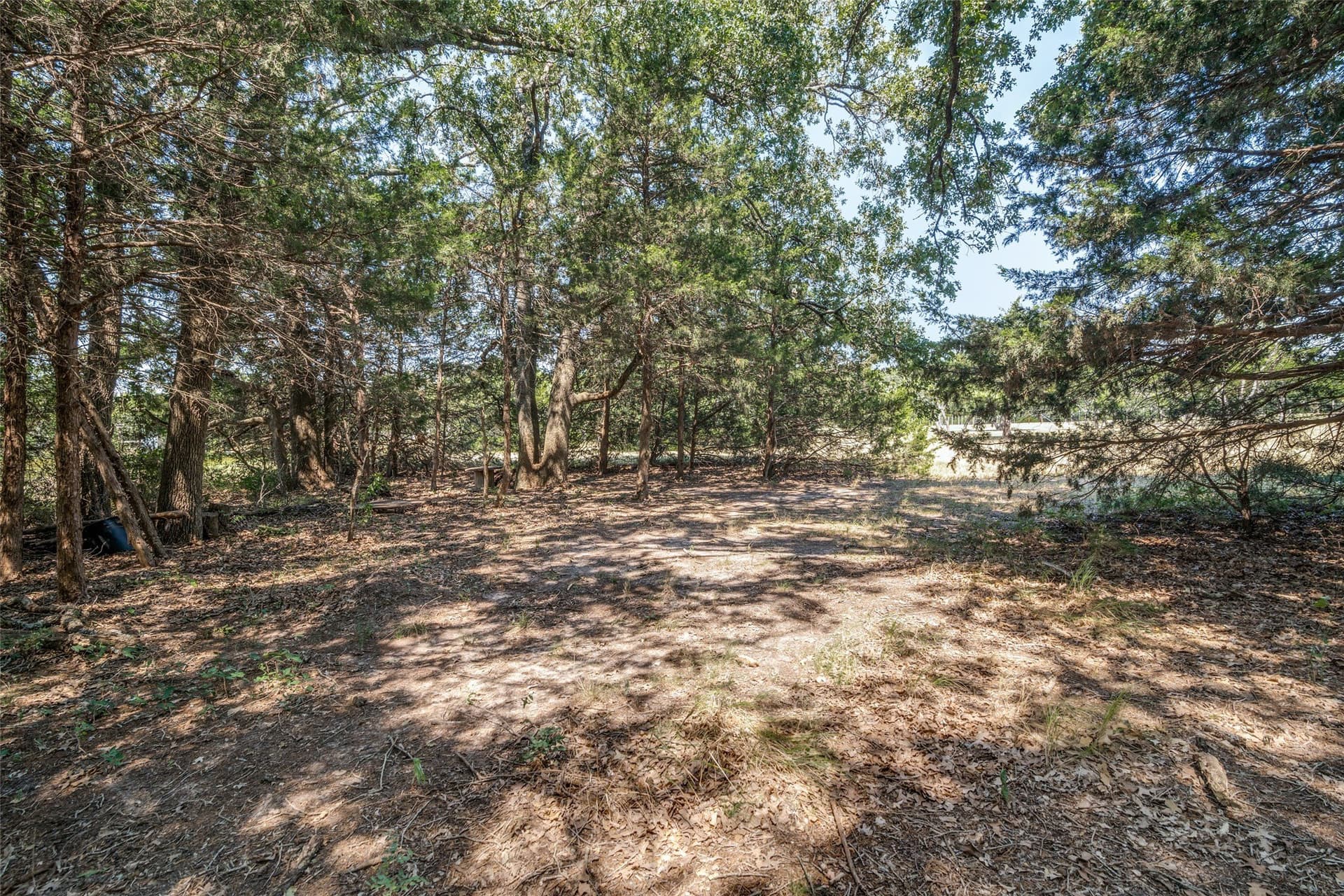 2.5 acres in Hunt County - photo 6