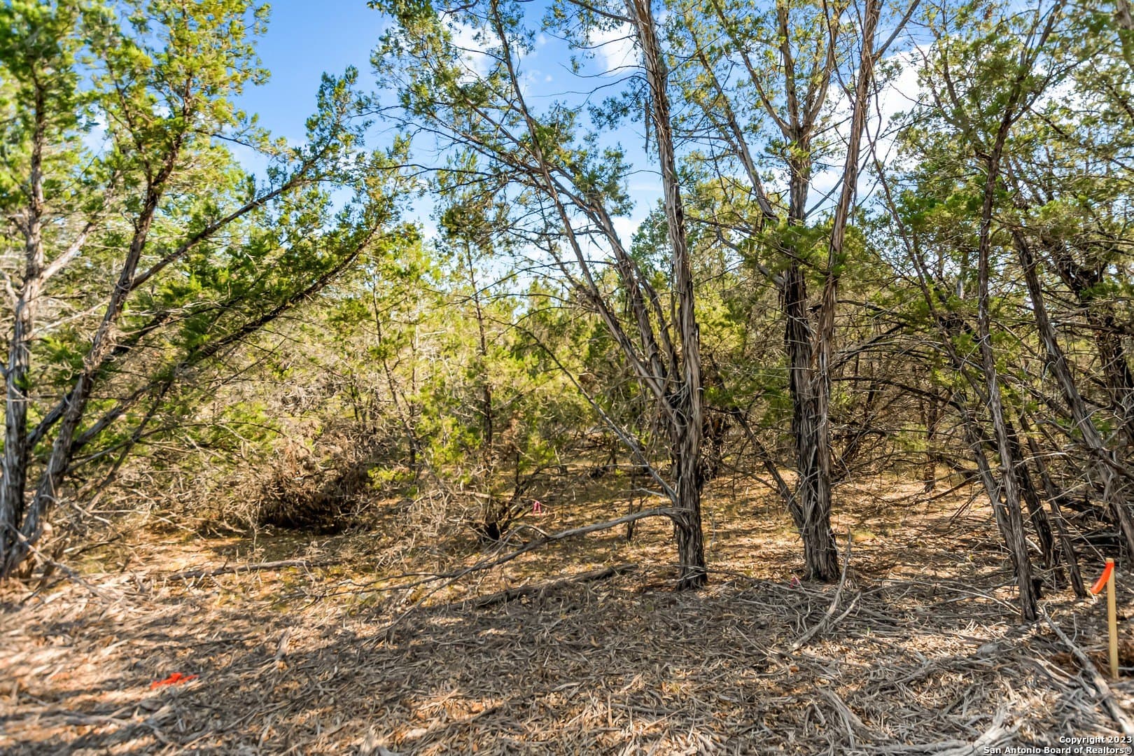 0.21 acres in Travis County - photo 12