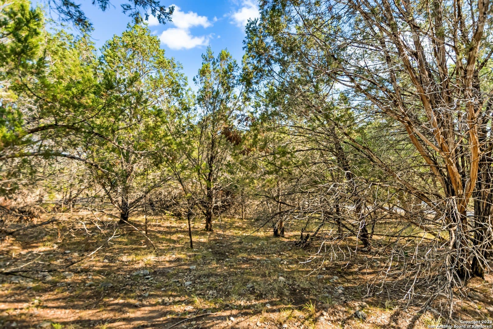 0.21 acres in Travis County - photo 8