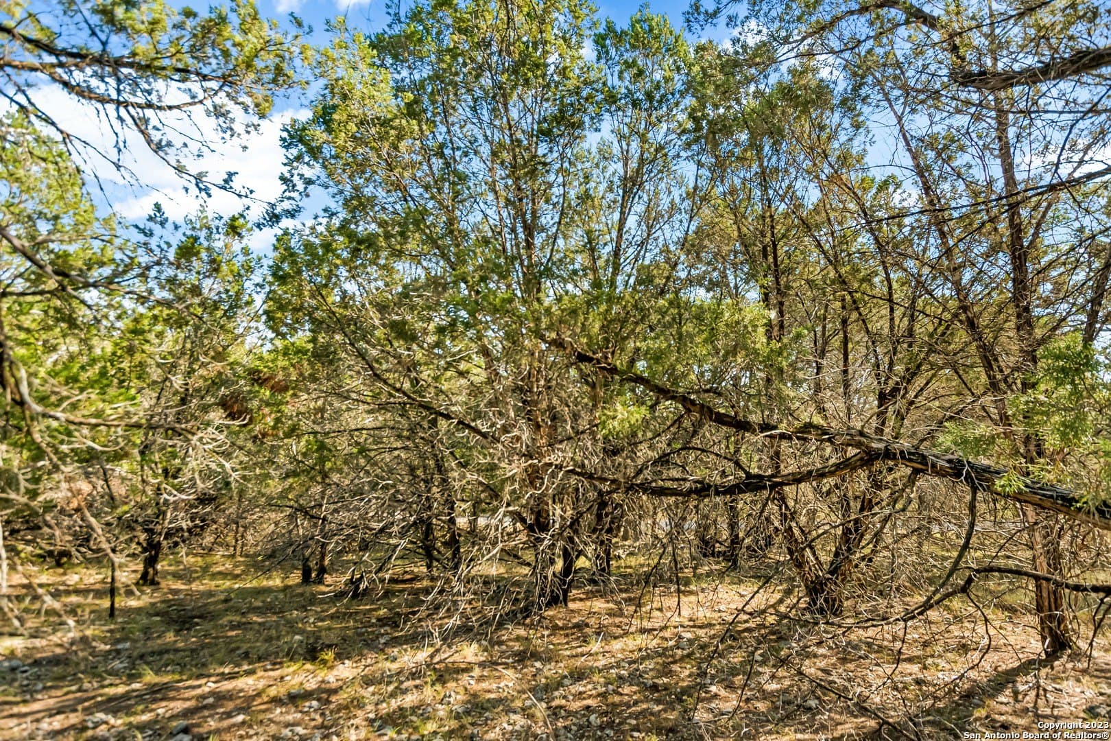 0.21 acres in Travis County - photo 9