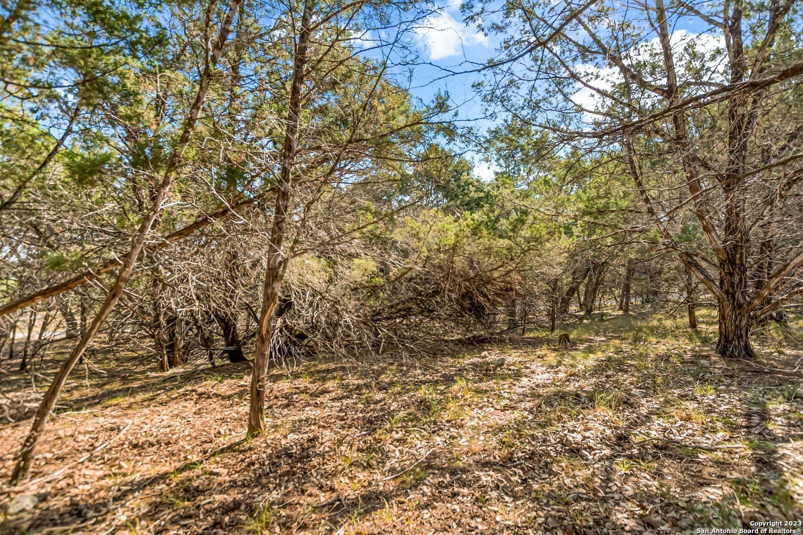 0.21 acres in Travis County - photo 11