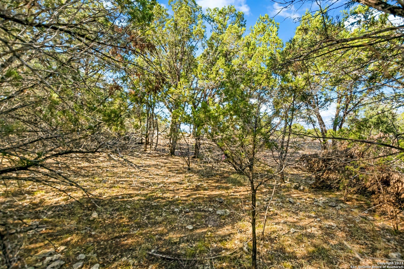 0.21 acres in Travis County - photo 10