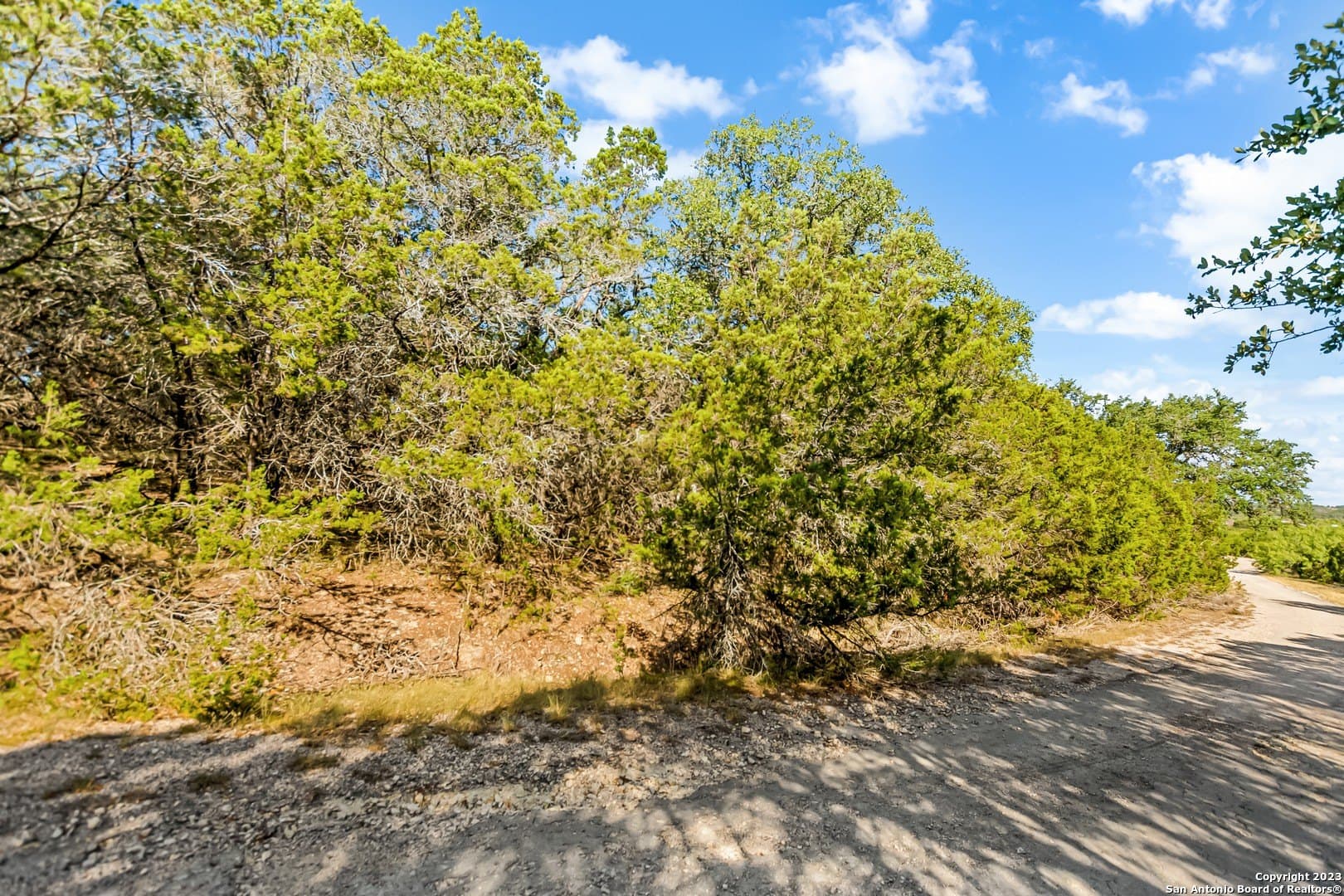 0.21 acres in Travis County - photo 15