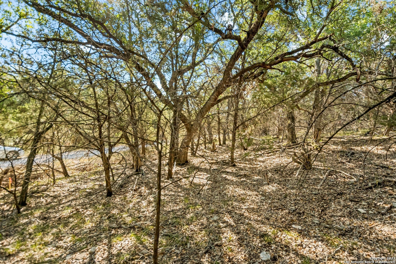 0.21 acres in Travis County - photo 6