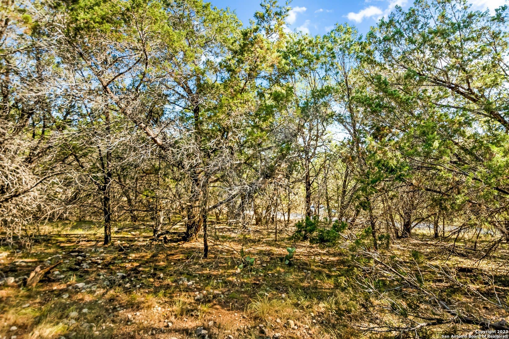0.21 acres in Travis County - photo 14