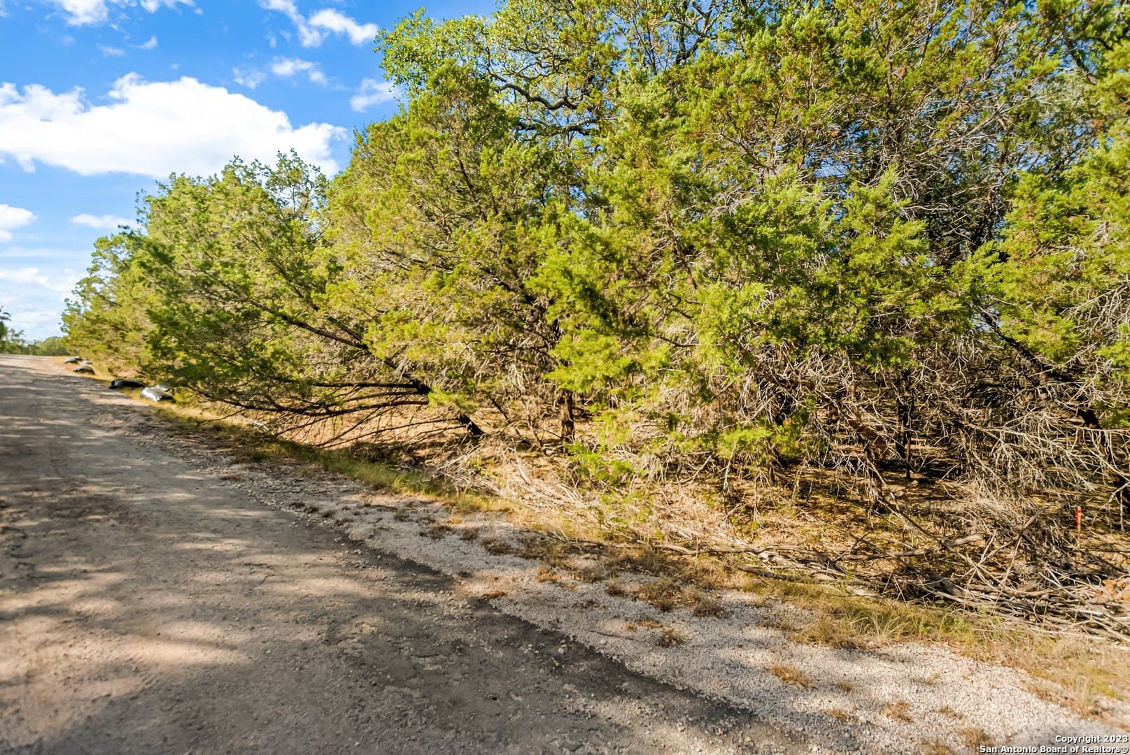 0.21 acres in Travis County - photo 17