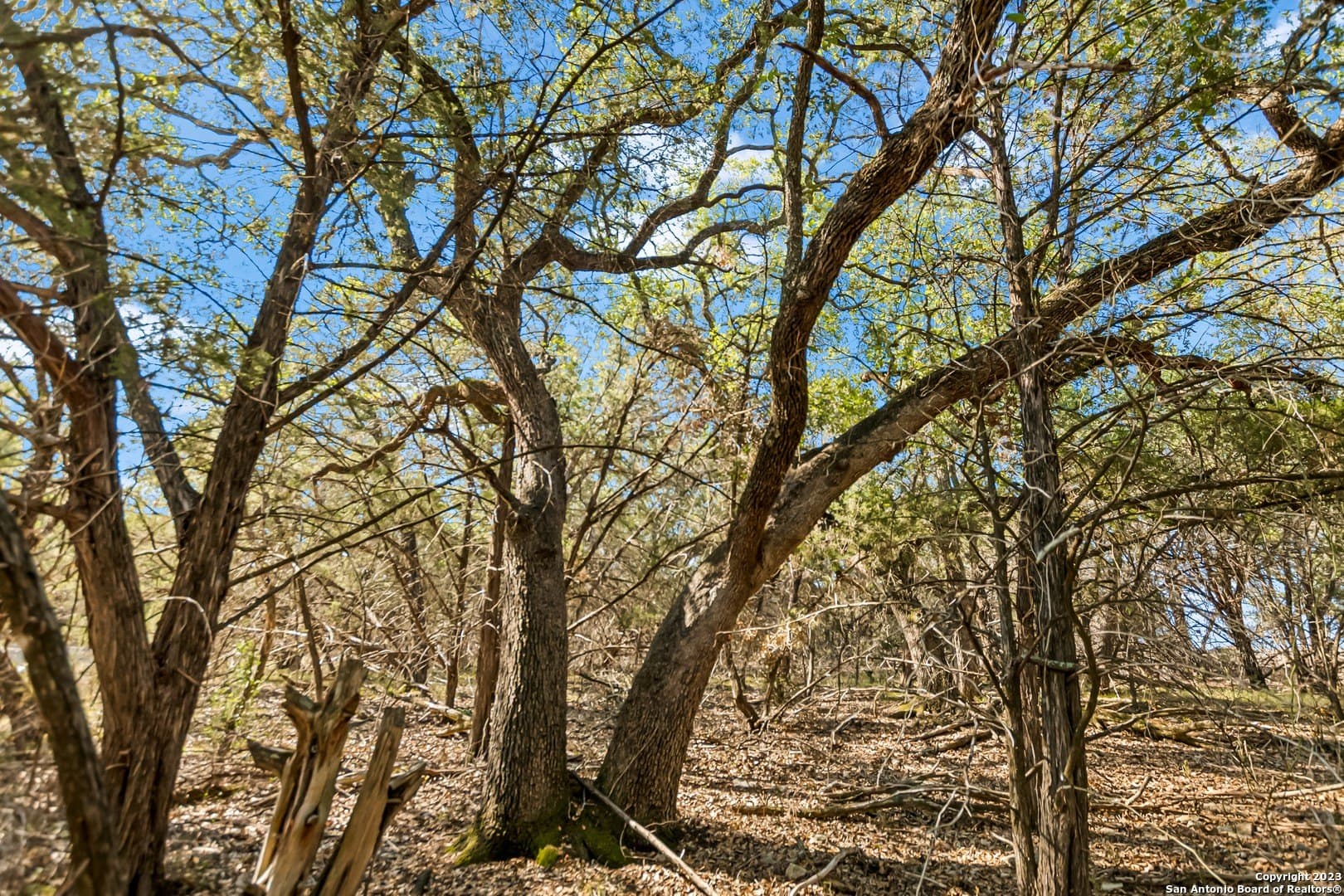 0.21 acres in Travis County - photo 4