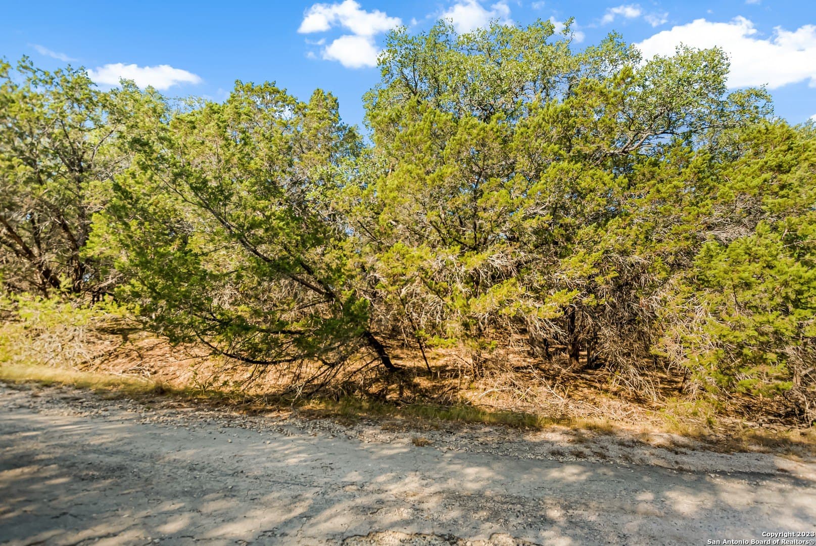 0.21 acres in Travis County - photo 16