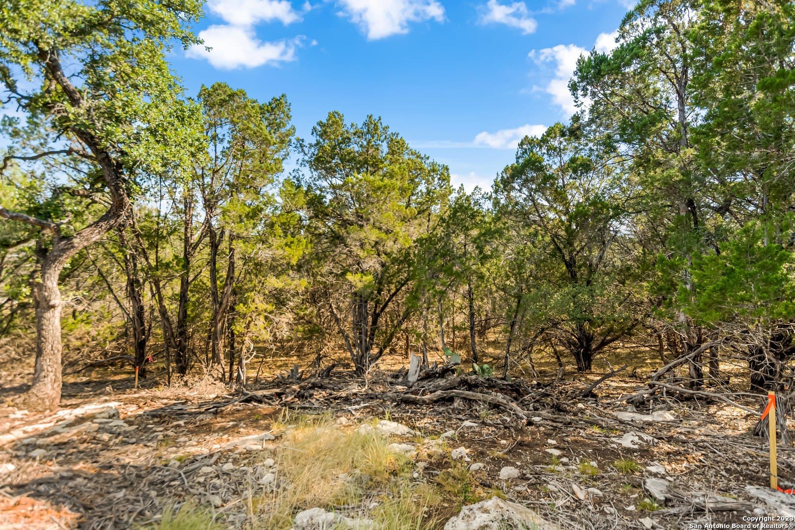 0.21 acres in Travis County - photo 13