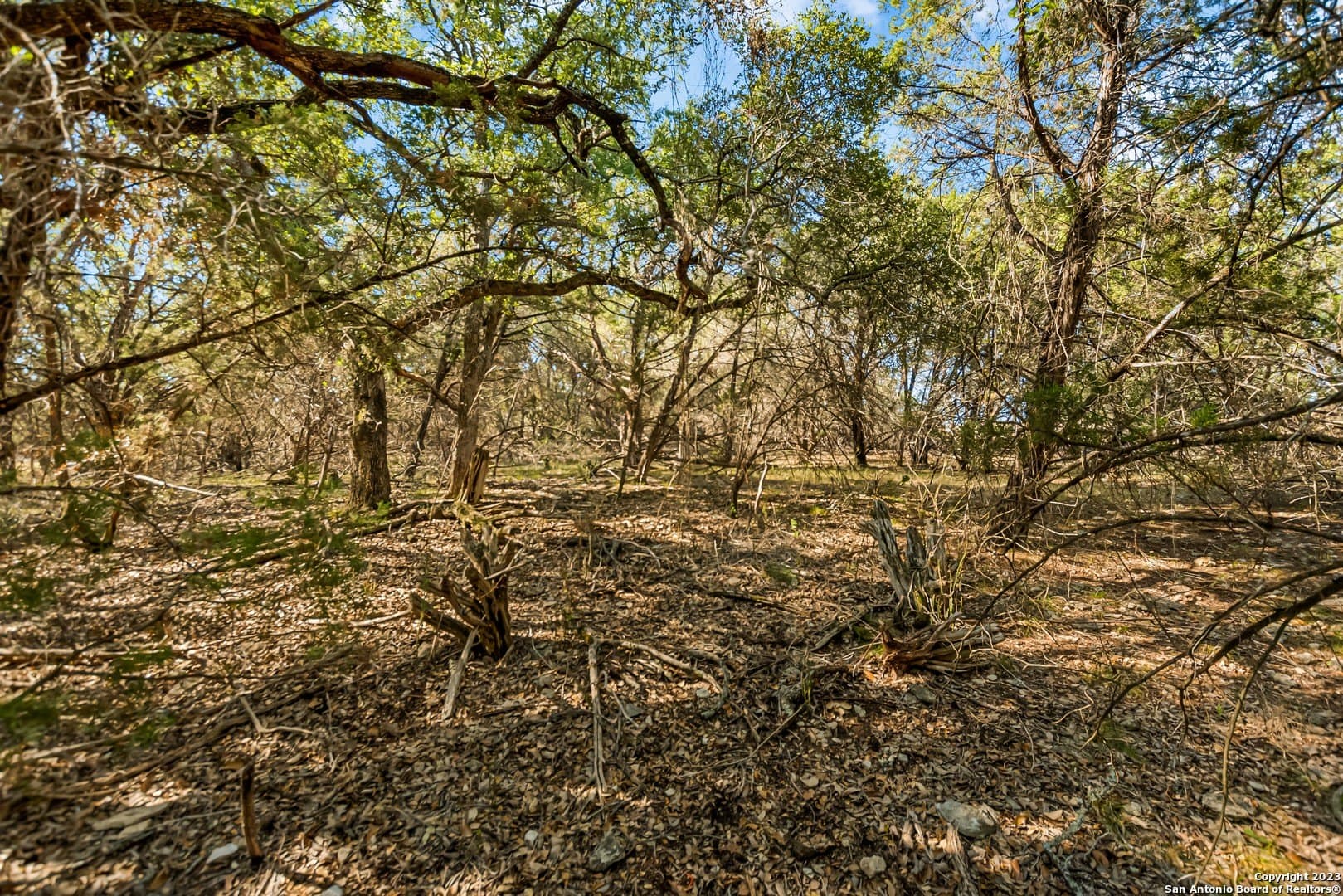 0.21 acres in Travis County - photo 5