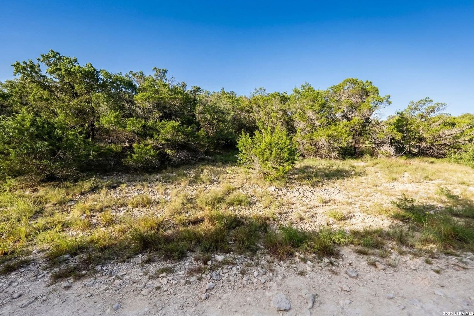 0.19 acres in Blanco County gallery image 4