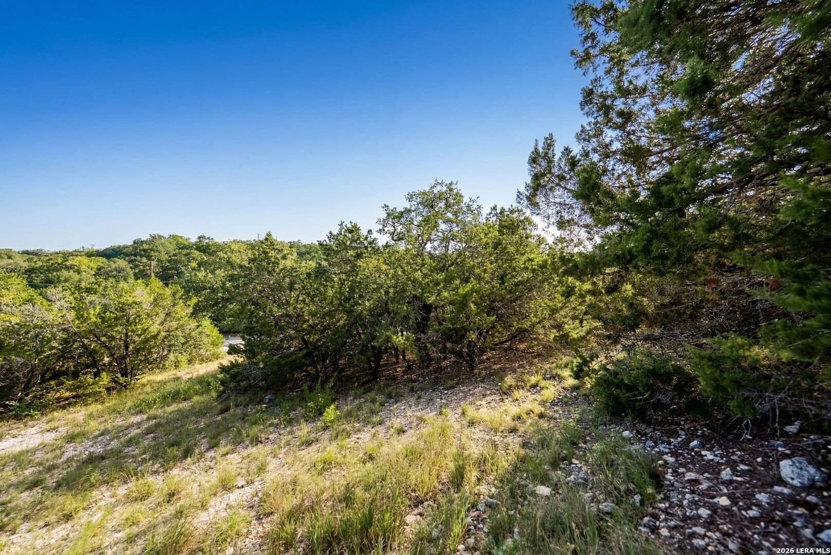 0.19 acres in Blanco County - photo 6