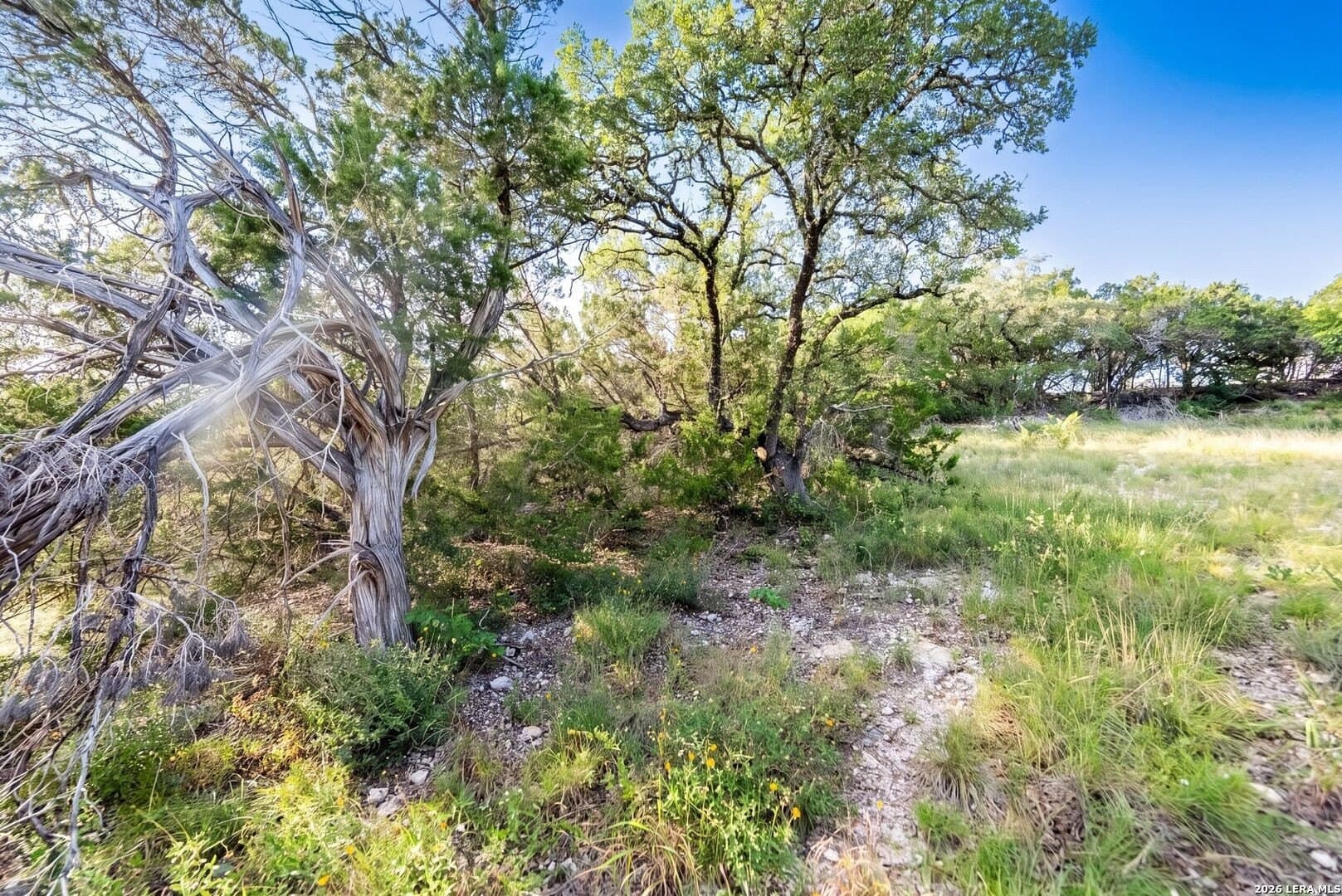 0.19 acres in Blanco County featured view