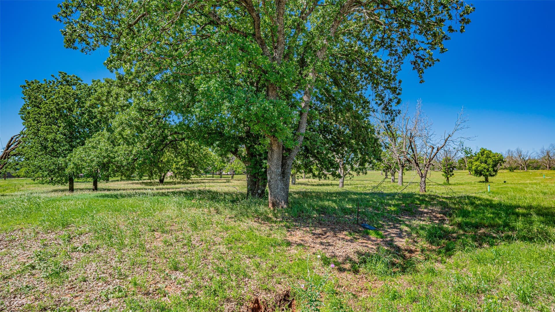 1.92 acres in Hood County - photo 6