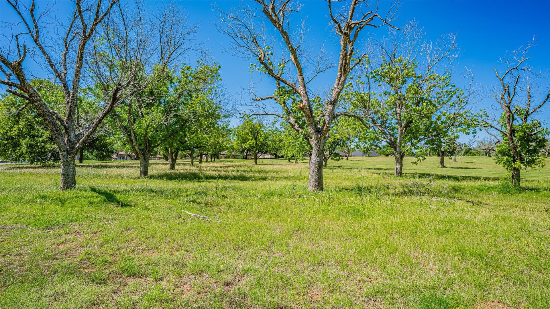 1.92 acres in Hood County - photo 9