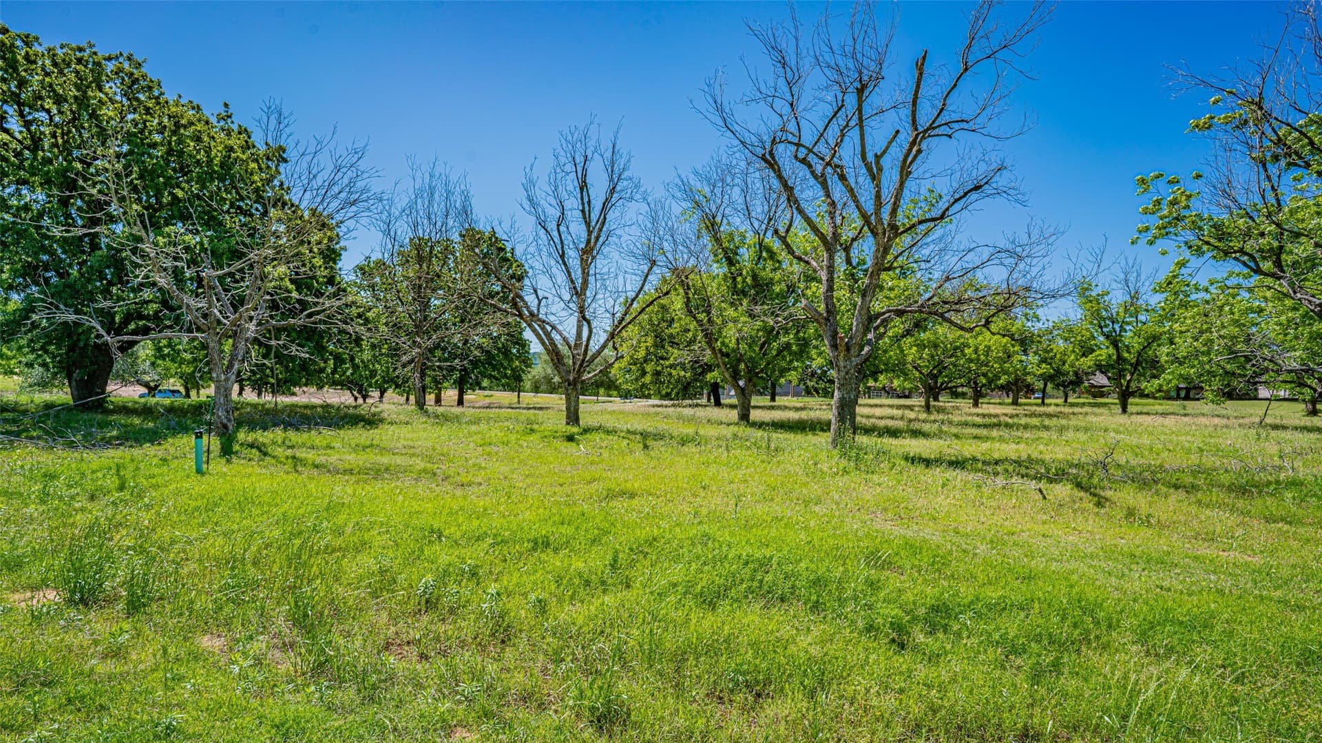 1.92 acres in Hood County - photo 7