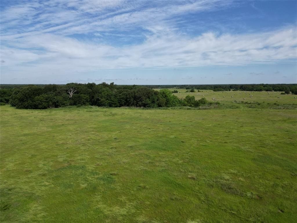 38.93 acres in Hopkins County gallery image 3