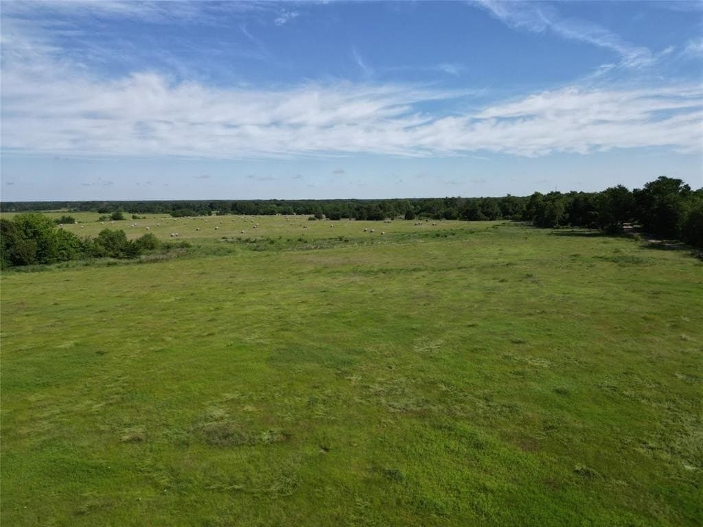 38.93 acres in Hopkins County gallery image 4