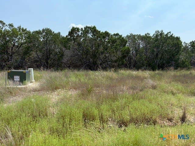 3.81 acres in Comal County gallery image 4
