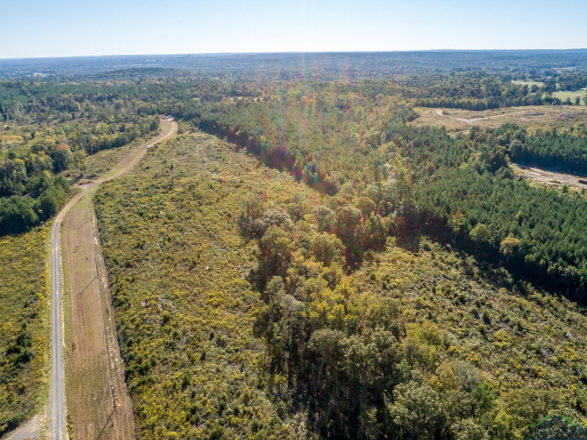 123 acres in Rusk County gallery image 3