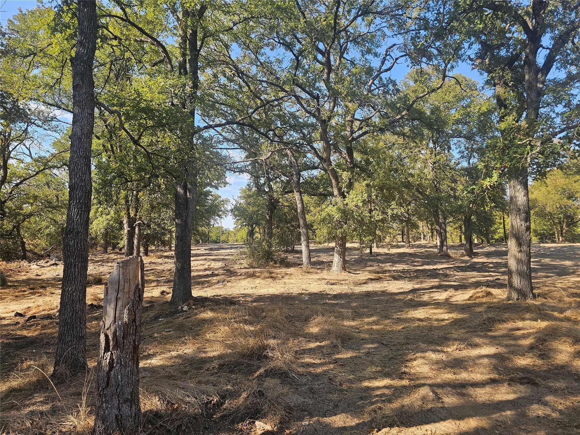 2.13 acres in Parker County - photo 6