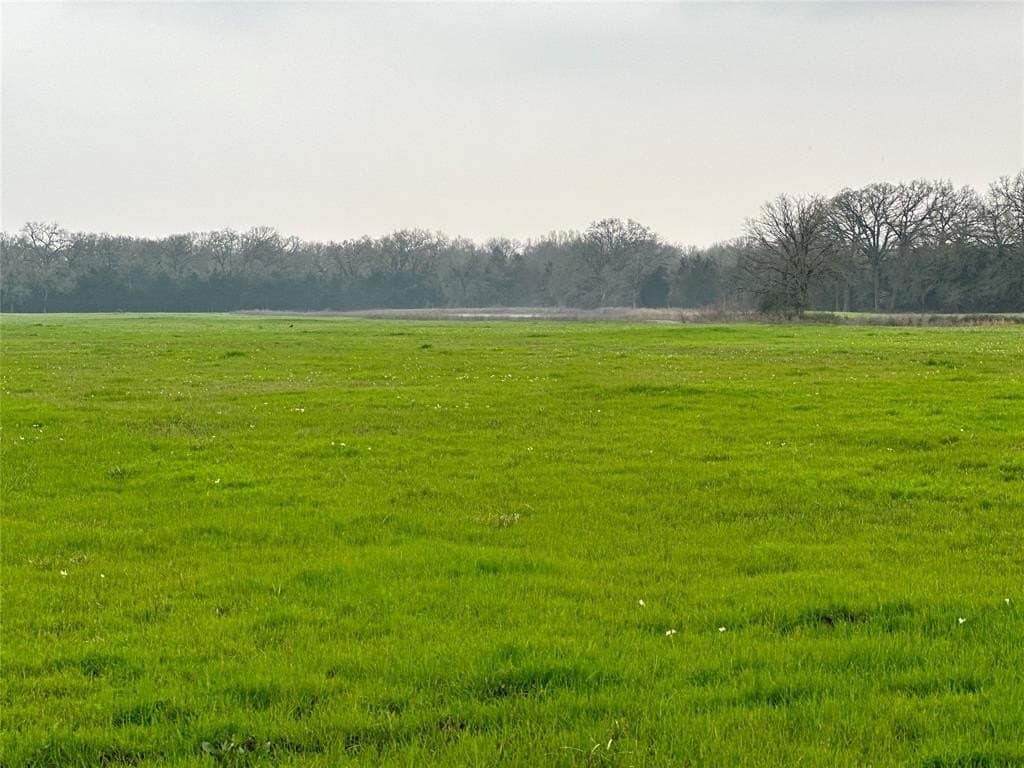 16 acres in Hopkins County gallery image 2