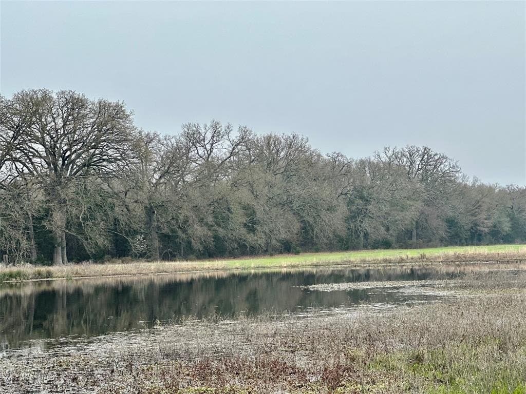 16 acres in Hopkins County gallery image 4