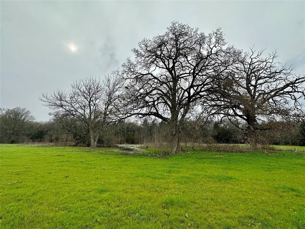 16 acres in Hopkins County featured view