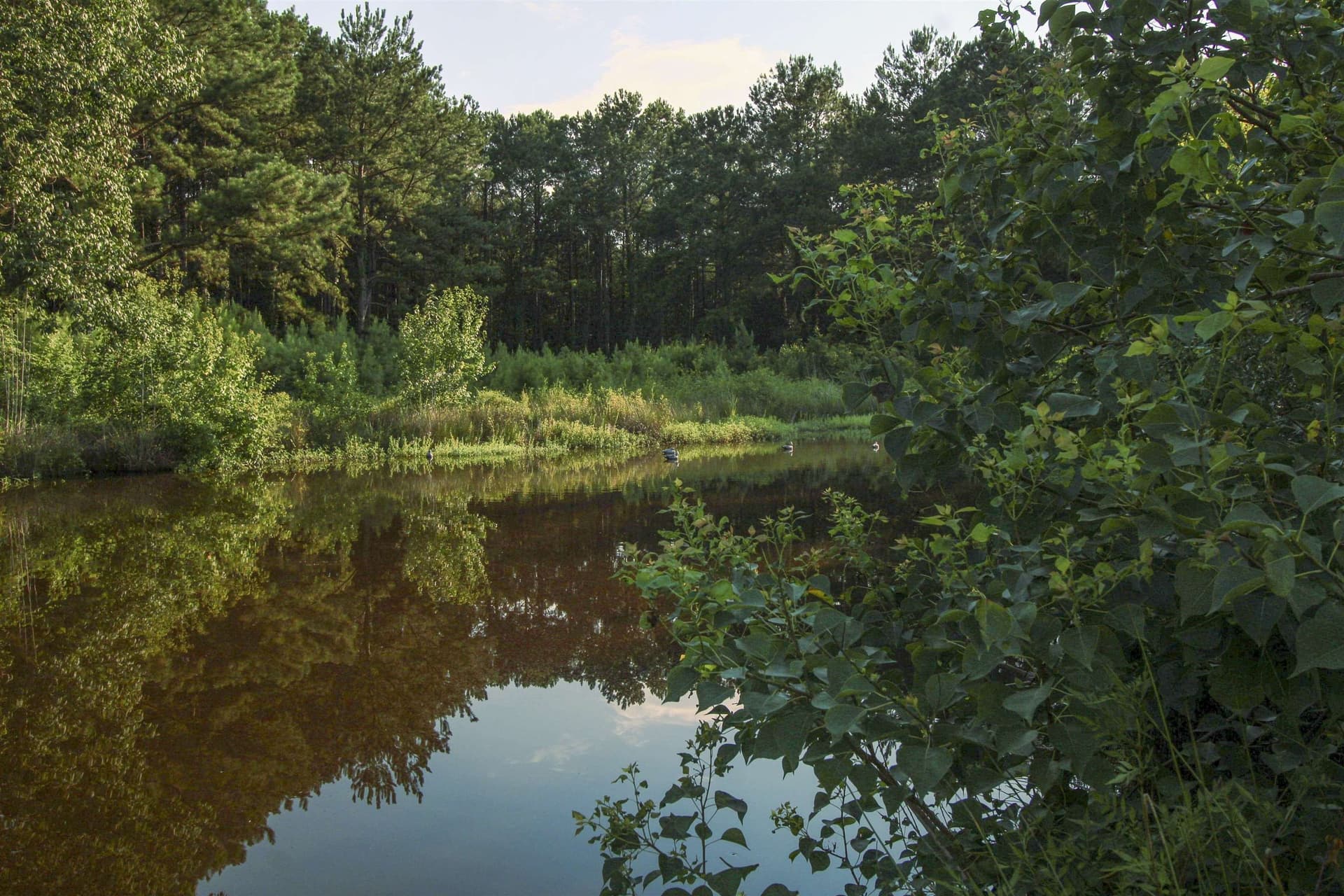 82 acres in Texas County - photo 26