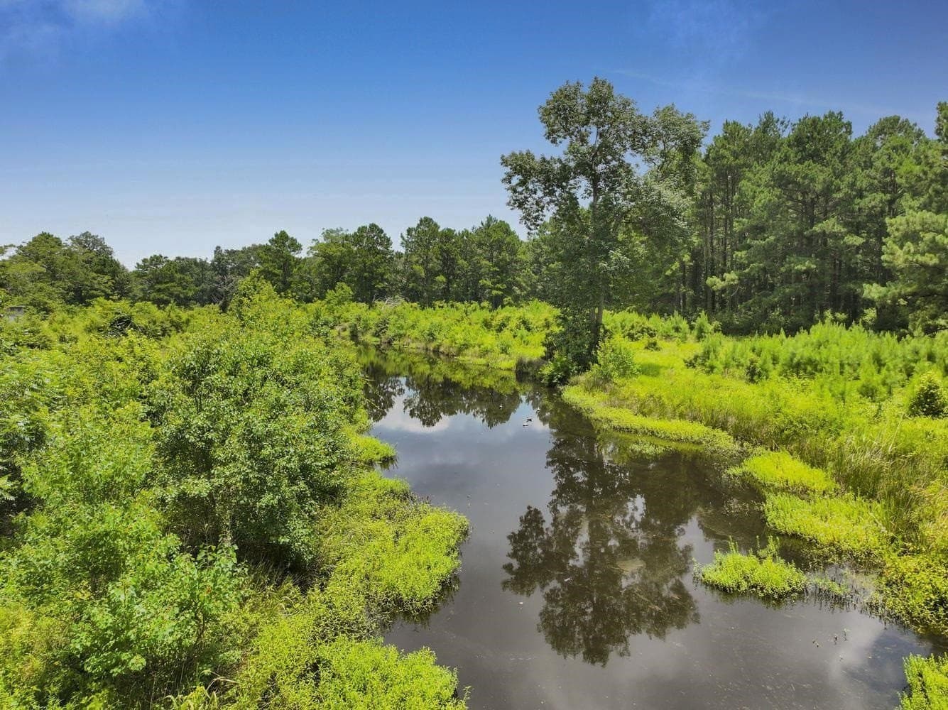 82 acres in Texas County - photo 8