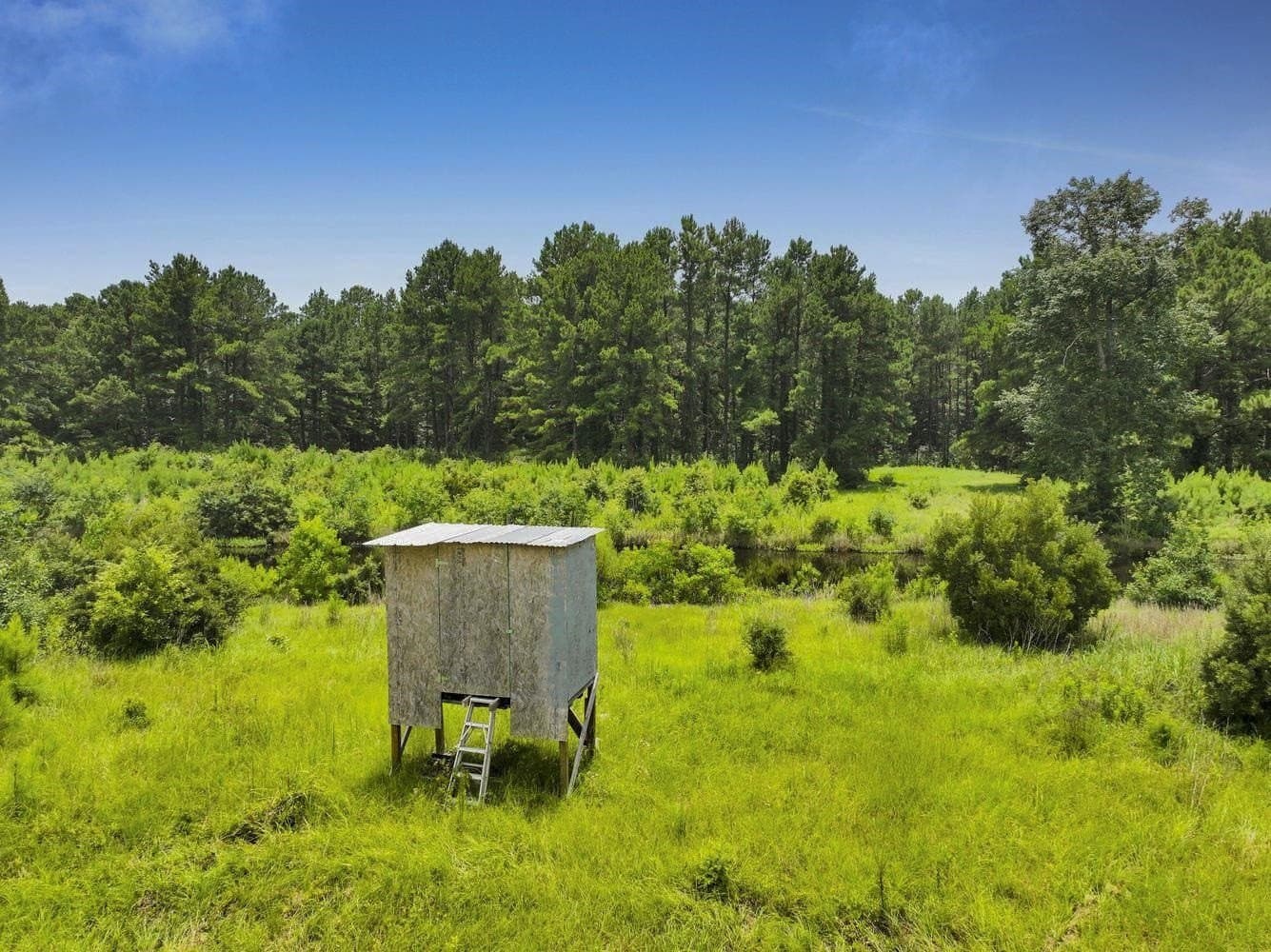 82 acres in Texas County - photo 10