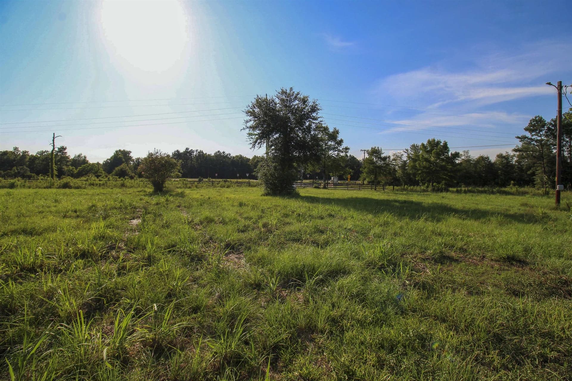 82 acres in Texas County - photo 23