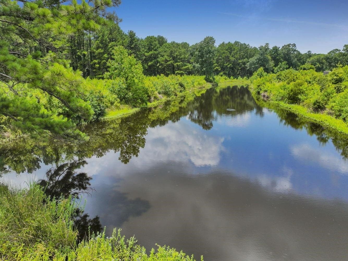 82 acres in Texas County - photo 9