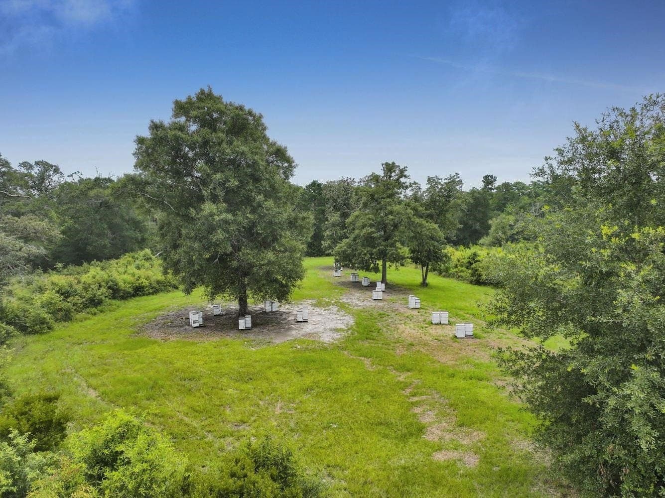 82 acres in Texas County - photo 13