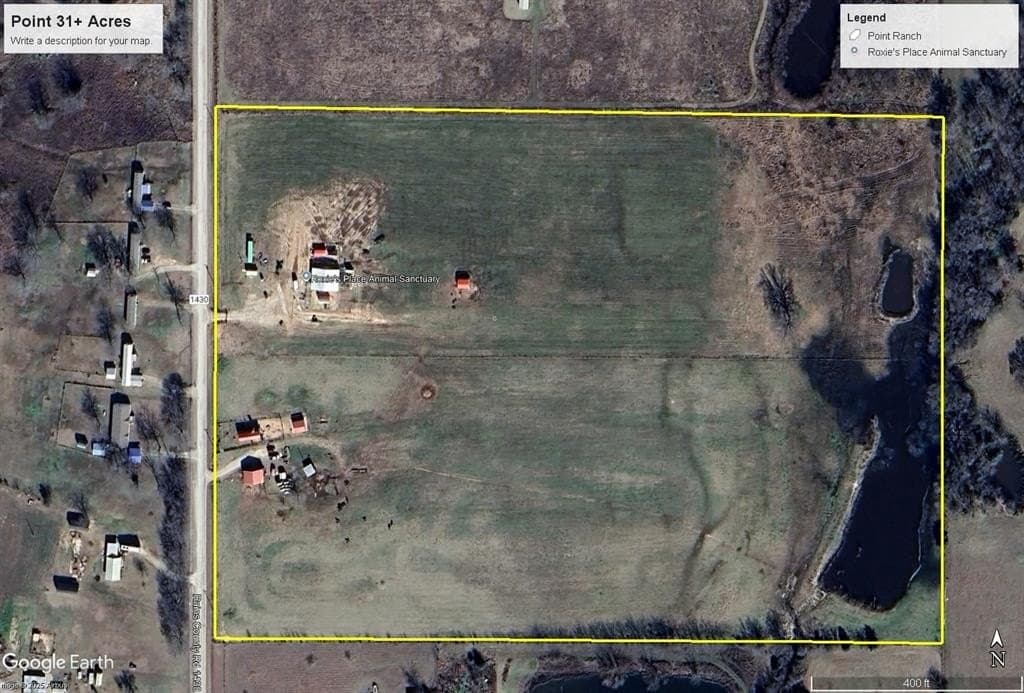 31.35 acres in Rains County gallery image 2