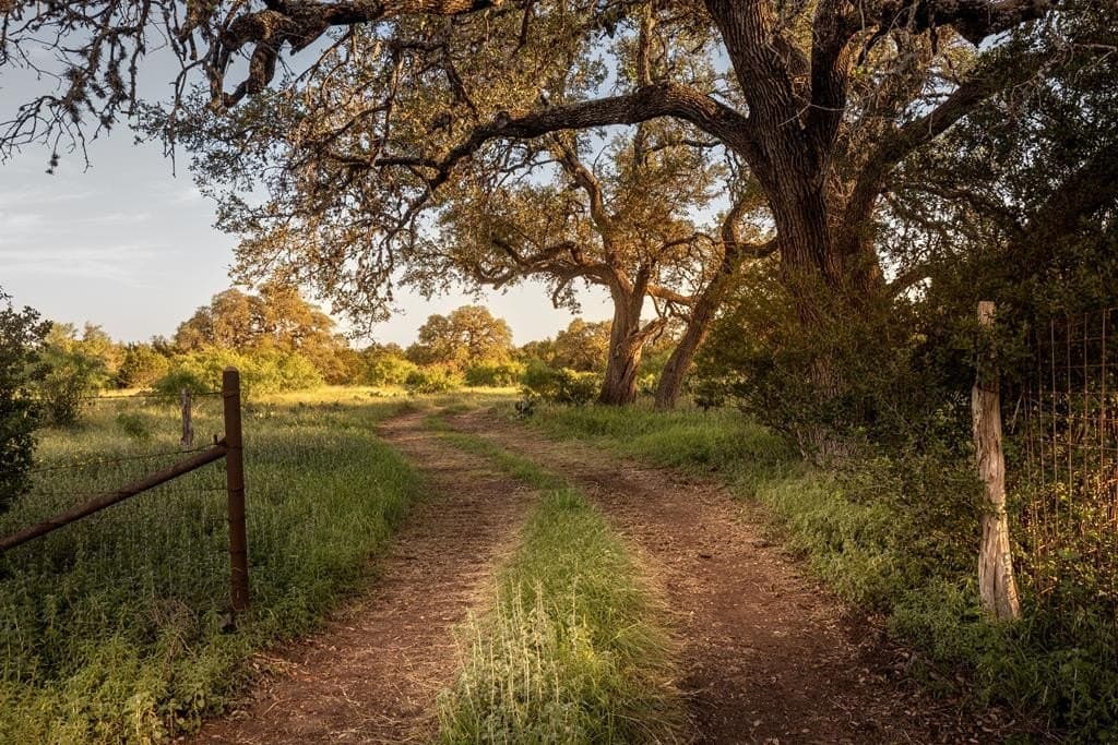 530 acres in Blanco County - photo 16