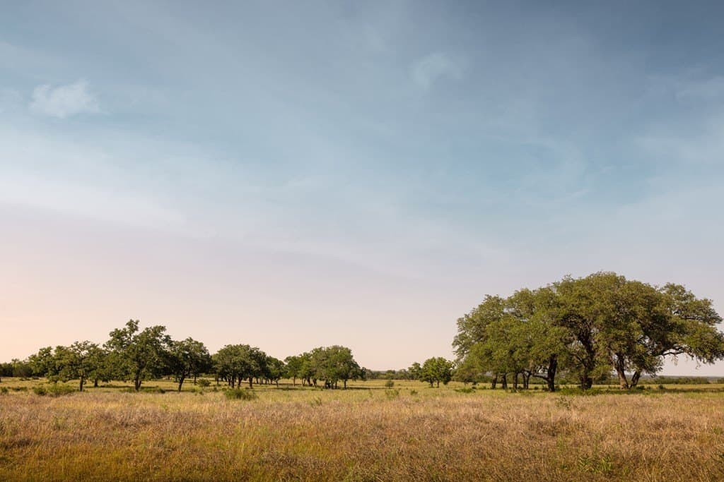530 acres in Blanco County - photo 13