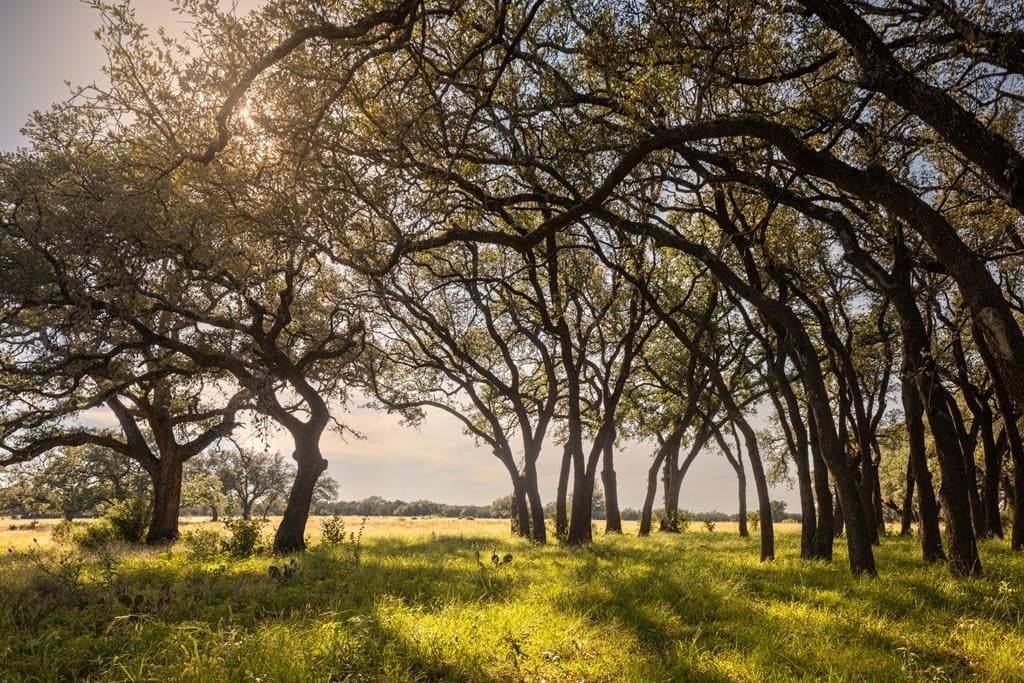 583 acres in Blanco County featured view