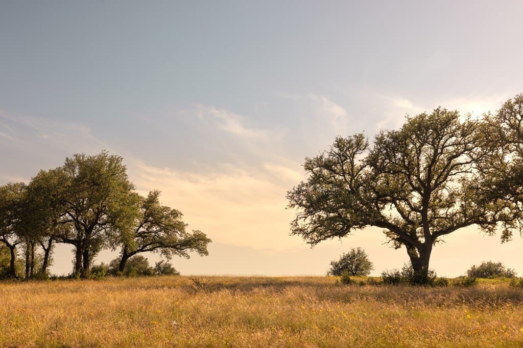 530 acres in Blanco County - photo 23