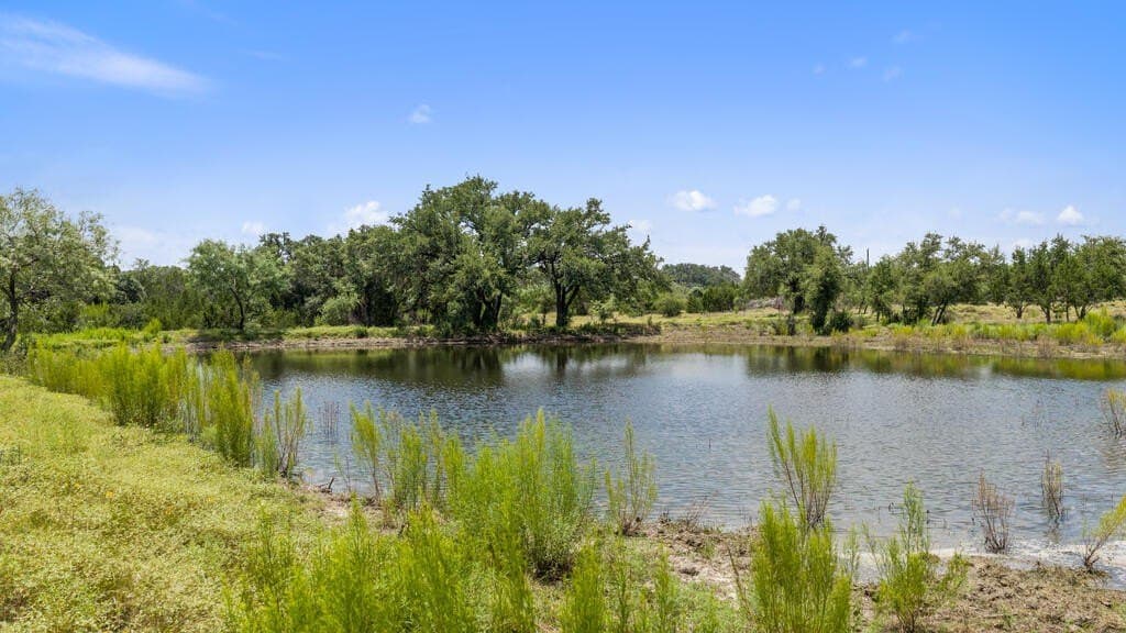 530 acres in Blanco County - photo 18