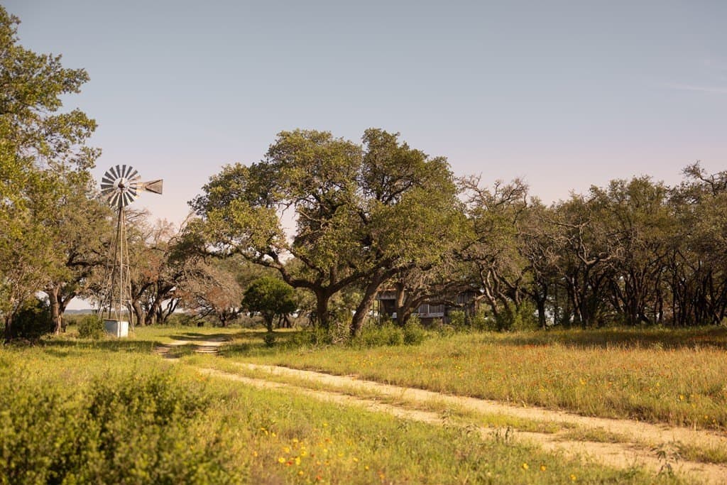 583 acres in Blanco County gallery image 4